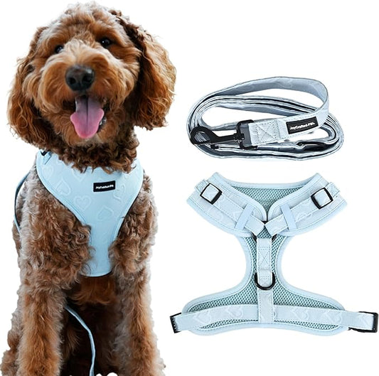 No Pull Puppy Harness and Leash Set – No Choke Neoprene Dog Harness for Extra Small Dogs (5–15lbs) -Blue(XS), Lightweight Breathable Mesh with Unique Heart Pattern, Adjustable Fit
