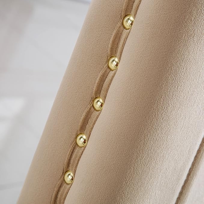 AUZ Dining Chairs with Nail Head Trim, Modern Velvet Upholstered Dining Room Chairs in Lovely Color with Polished Gold Stainless Steel Legs, Set of 2