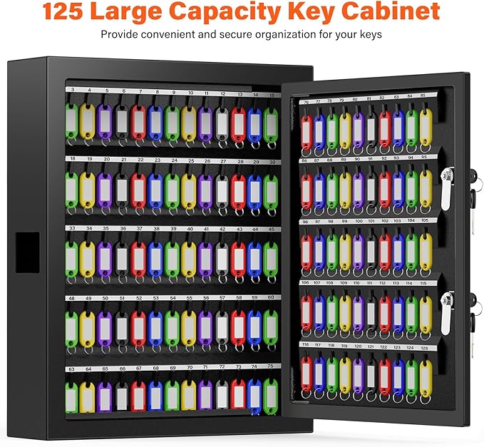 125 Keys Dual Lock Box Wall Mount, Anti-Theft Key Cabinet with Key Hooks & 125 Tags Key Labels, Steel Drop Slot Key Safe for Hotels & Office & Companies & Car Dealerships