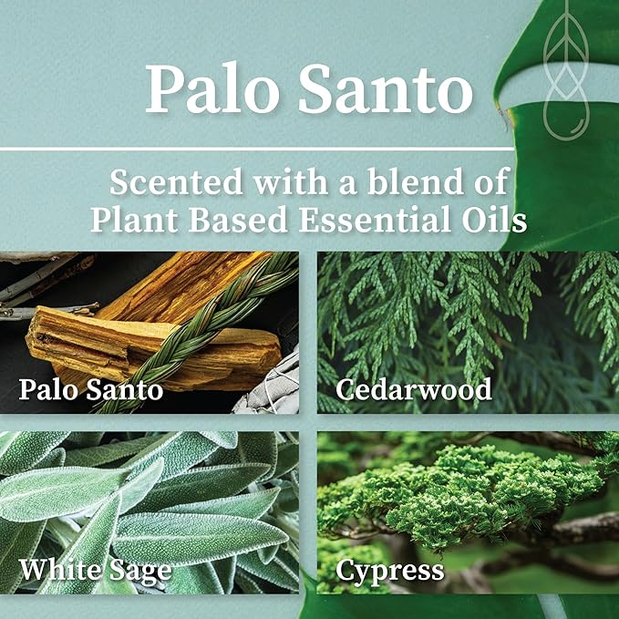 Hemlock Park Amber & Gold Wood Wick Candle Handcrafted with Natural Coconut Wax (Large 14 oz, Palo Santo)