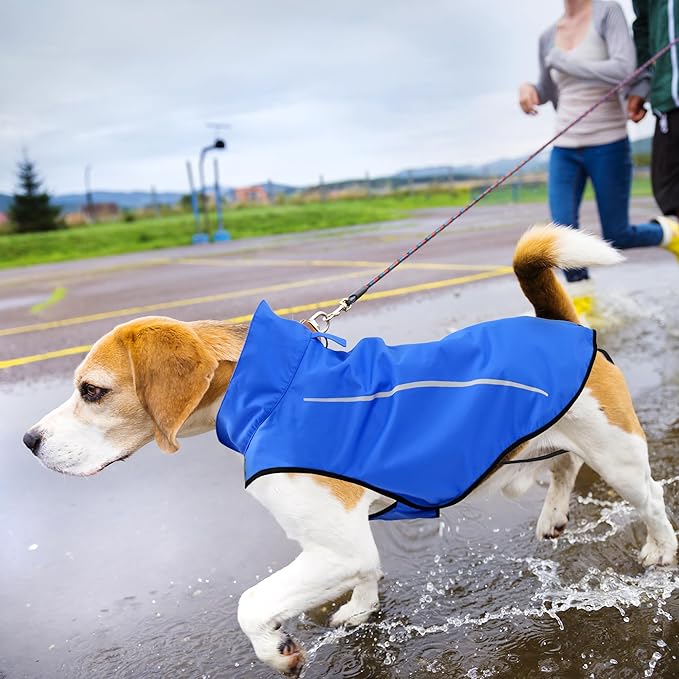 Mile High Life Dog Raincoat, Adjustable Waterproof Reflective Rain Jacket for Small Medium Large Dogs, Lightweight Breathable Pet Rain Coat with Leash Hole(Blue,M Chest 26-32")