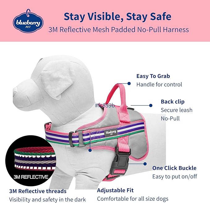 Blueberry Pet Pink Dog Harness - Award Winning Medium Sized No Pull Dog Harness with Handle, Reflective Vest for Safety-Conscious Urban & Outdoor Enthusiasts, 3M Night Visibility