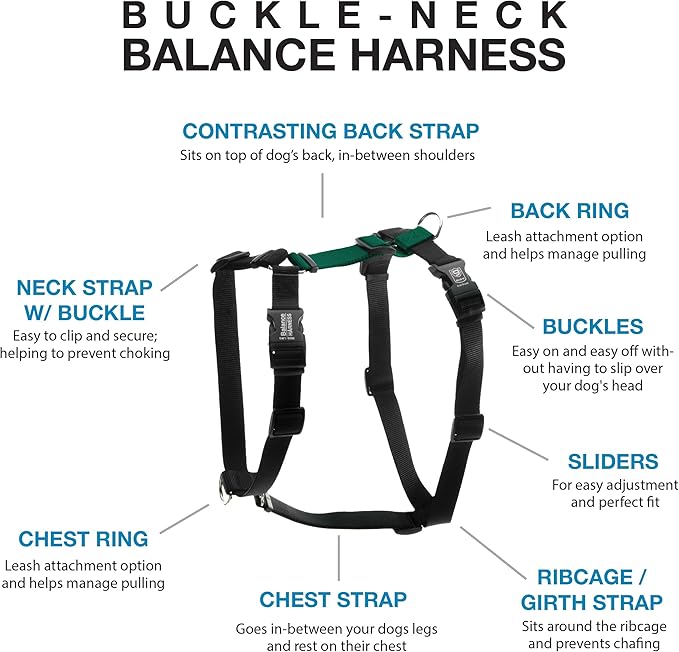 Blue-9 Buckle-Neck Balance Harness, Fully Customizable Fit No-Pull Harness, Ideal for Dog Training and Obedience, Made in The USA, Hunter Green, M/L