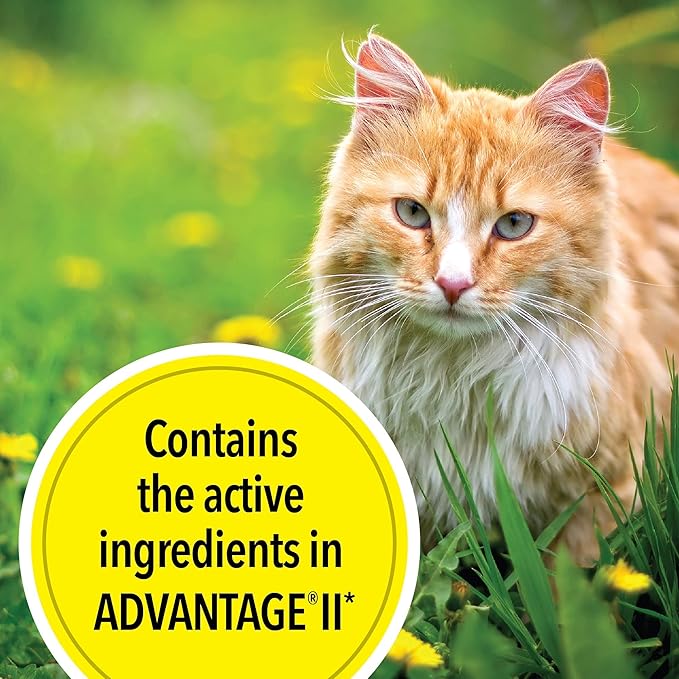 TevraPet Actispot II Flea Treatment for Small and Medium Cats 5-9 lbs | 6 Doses | Powerful Prevention and Control, Clear