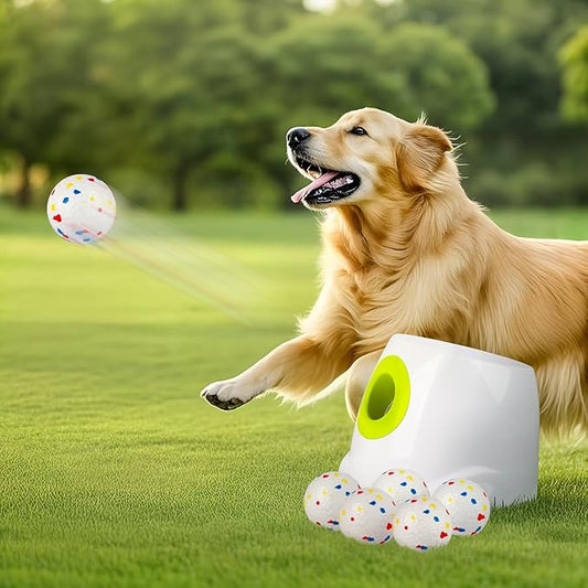 ALL FOR PAWS Automatic Ball Launcher for Dogs, Interactive Puppy Pet Balls Outdoor Thrower for Medium to Large Dogs, Ball Throwing Machine for Dogs, 6 ETPU Balls Included(2.5"), Rechargeable Battery