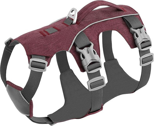Escape Proof Dog Harness with Handle - Reflective No Pull Dog Vest, Lightweight Full Body Pet Harness Adjustable for Small Dogs Walking,Training(Blue,Chest:14-22")