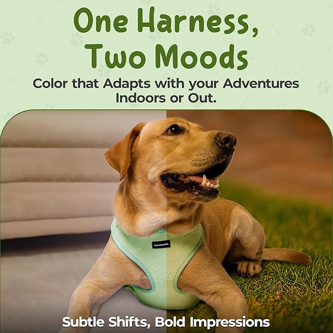No Pull Puppy Harness and Leash Set – No Choke Neoprene Dog Harness for Large Dogs (40–60lbs), Green(L), Lightweight Breathable Mesh with Unique Heart Pattern, Adjustable Fit
