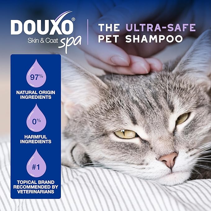 DOUXO® Skin & Coat SPA - Ultra-Safe Low-Stress Refresh Leave-on Mousse for Cats, 10 fl oz, Leaves The Coat Clean, Refreshed, Soft, Radiant and Smelling Great, Skin-Friendly Formula