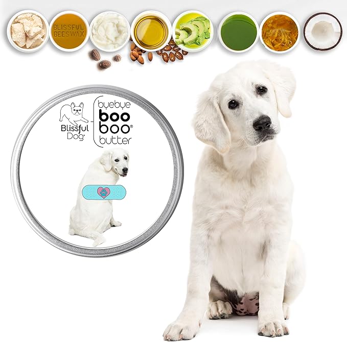 The Blissful Dog Kuvasz Boo Boo Butter, 4 Ounce