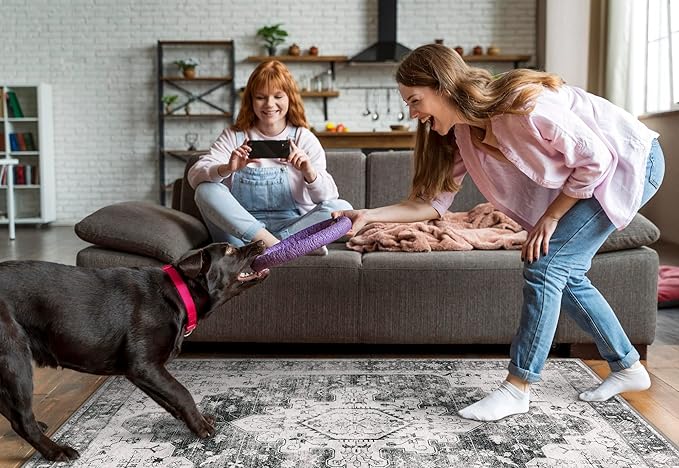 Moynesa Ultra-Thin Washable Area Rug - 4x6 Grey Living Room Rug Oriental Entryway Mat, Non Slip Non Shedding Pet Friendly Bedroom Carpet for Apartment Office Entrance Kitchen