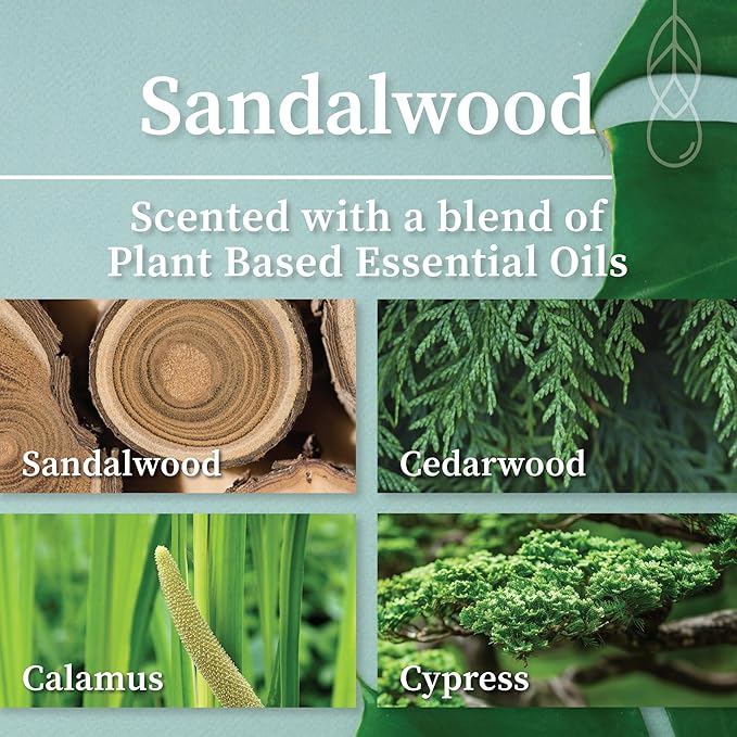 Hemlock Park Crackling Wood Wick Candle Handcrafted with Natural Coconut Wax (Large 16 oz, Sandalwood)