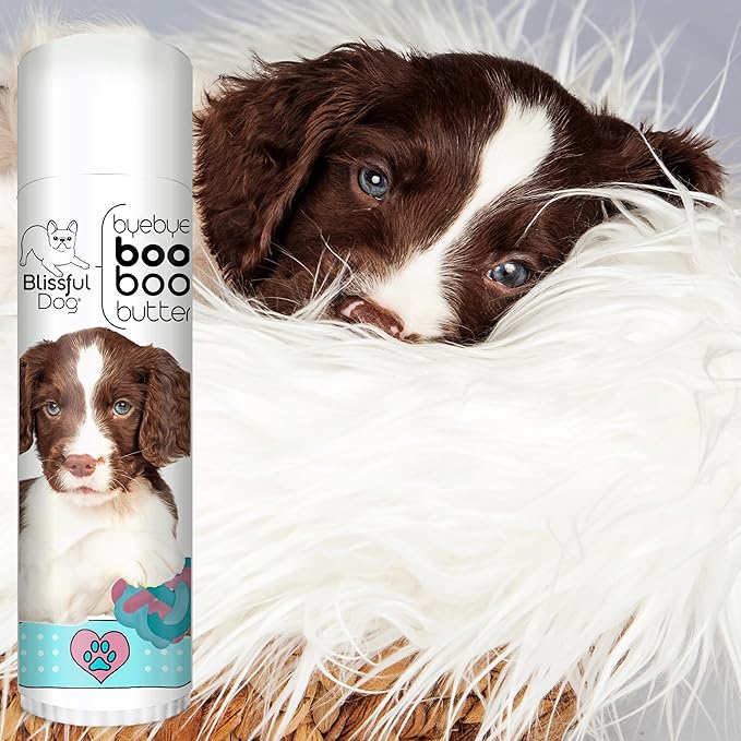 The Blissful Dog Springer Spaniel Boo Butter, 0.50 oz