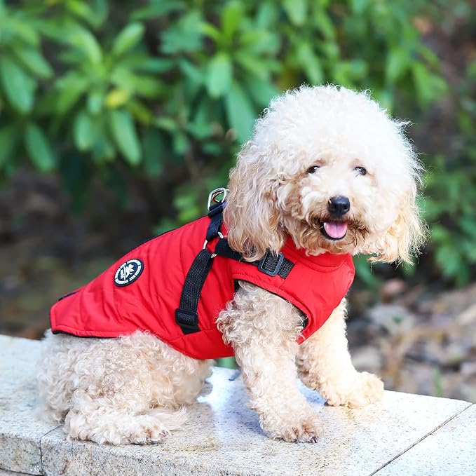 Norbi Dog Coat - Winter Jacket with Built-in Harness, Adjustable Warm Coats for Small to Large Dogs, Perfect for Cold Weather