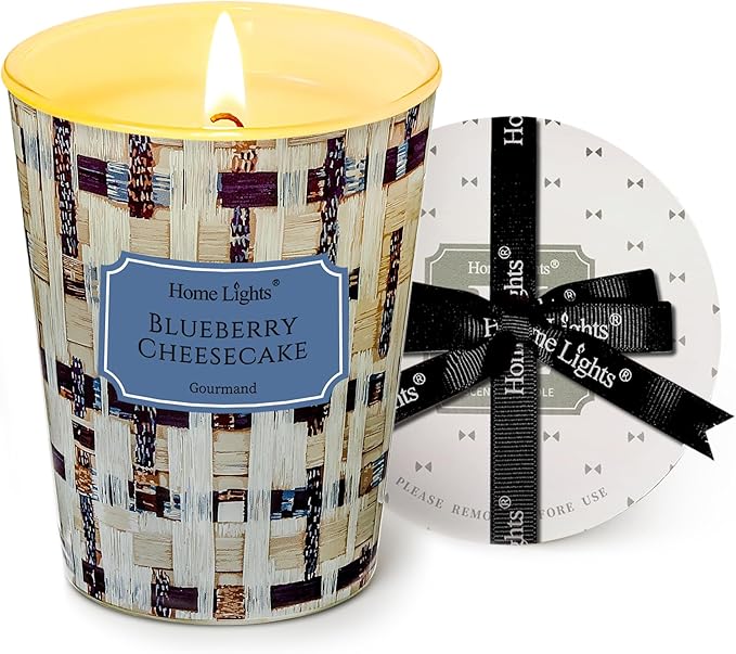 HomeLights Scented Candles for Women & Men, 6.7oz Candle Jars Aromatherapy Single Wick Candle, Ideal for Rustic Modern Home Decor and Gifts, Blueberry Cheesecake