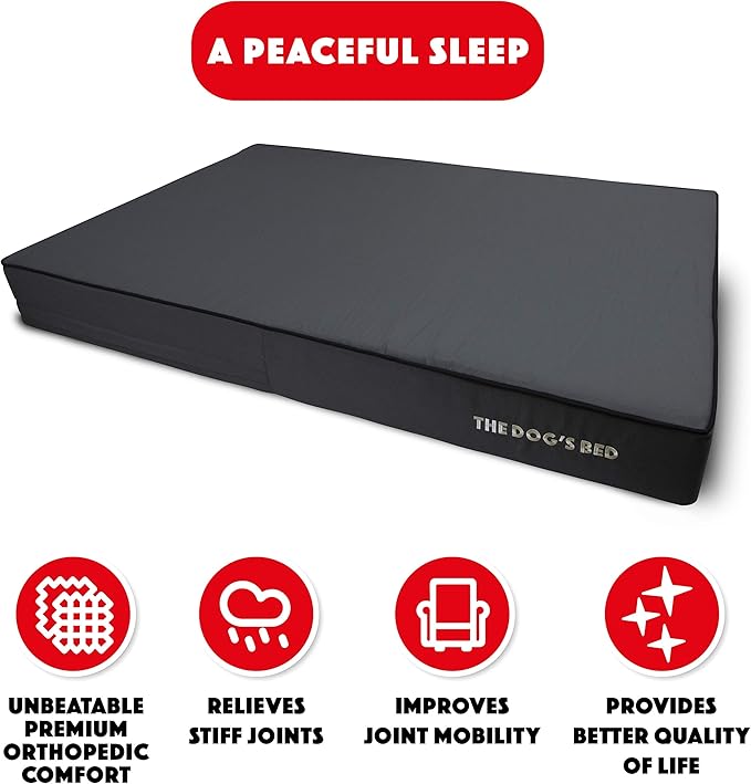 The Dog’s Bed Orthopedic Memory Foam Dog Bed, XXL Grey & Black 54x36, Waterproof, Supportive Dog Bed with Replaceable Covers, Veterinary Approved