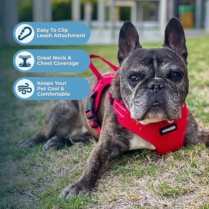Best Pet Supplies Voyager Adjustable Dog Harness Leash Set with Reflective Stripes for Walking Heavy-Duty Full Body No Pull Vest with Leash D-Ring, Breathable All-Weather - Red, XL