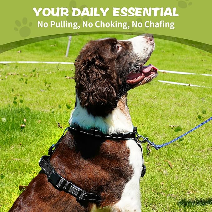 No-Pull Harness,Y-Shaped Design,Buckle-Neck Balance Harness with Reflective Stitching, Ideal for Dog Training and Night Walking, Padded Handle, Durable High-Tensile Nylon-Black-M