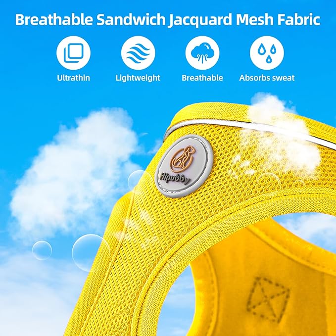 Dog Harness and Leash Set, No Pull Soft Mesh Puppy Harness for Small Medium Dogs, Cats - Step in Reflective Breathable Lightweight Vest Harness for Walking, Training - Yellow, S