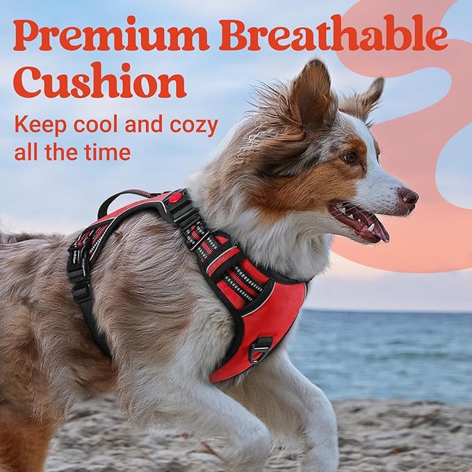 rabbitgoo Dog Harness Medium Sized, No Pull Pet Harness with Soft Padded Handle, Adjustable Reflective Vest with 3 Buckles, Easy Walking Harness with 2 Leash Clips, Red, M