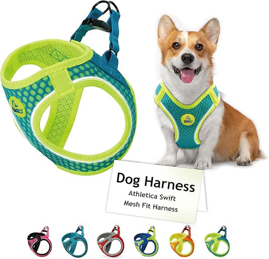 DOCO Dog Harness │ Athletica Puppy Harness for Small Dogs │ Heavy Duty No Choke Vest, Lightweight Reflective (Dogs Under 30 lbs) - Turquoise, X-Large