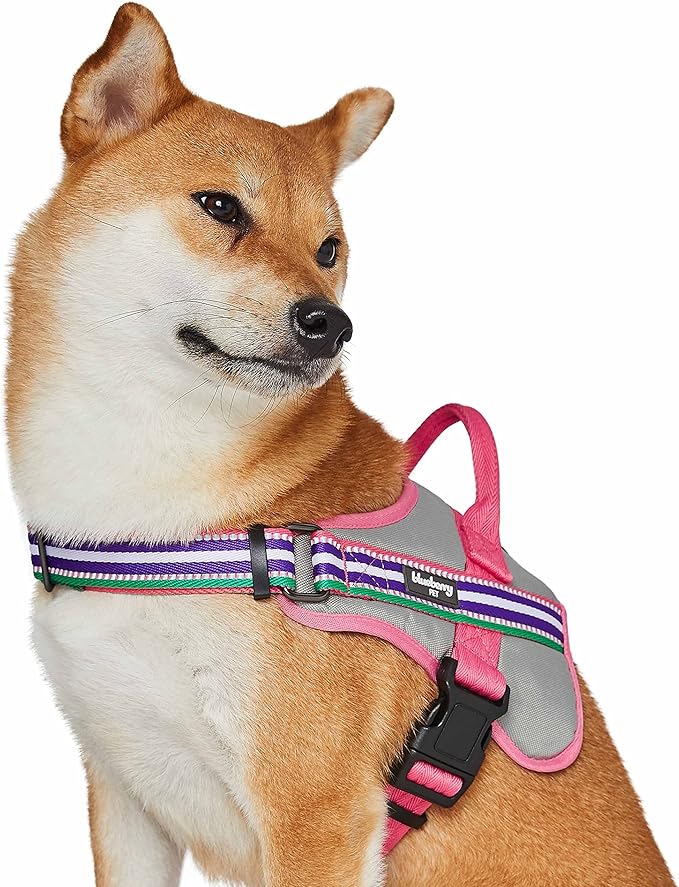 Blueberry Pet Soft 3M Reflective Dog Harness Vest | Mesh Padded No-Pull Harness with Back Clips | Multicolor Stripe in Pink, Emerald and Orchid| Adjustable for Large Dogs