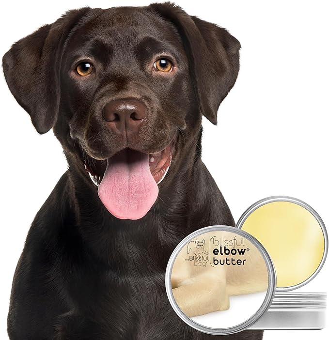 The Blissful Dog Elbow Butter for Dry, Cracked Calluses, Lick-Safe Dog Balm, Soothing Elbow Balm with Moisturizing Shea Butter, Almond, Olive, and Essential Oils, Pet Supplies, 1 oz. Tin