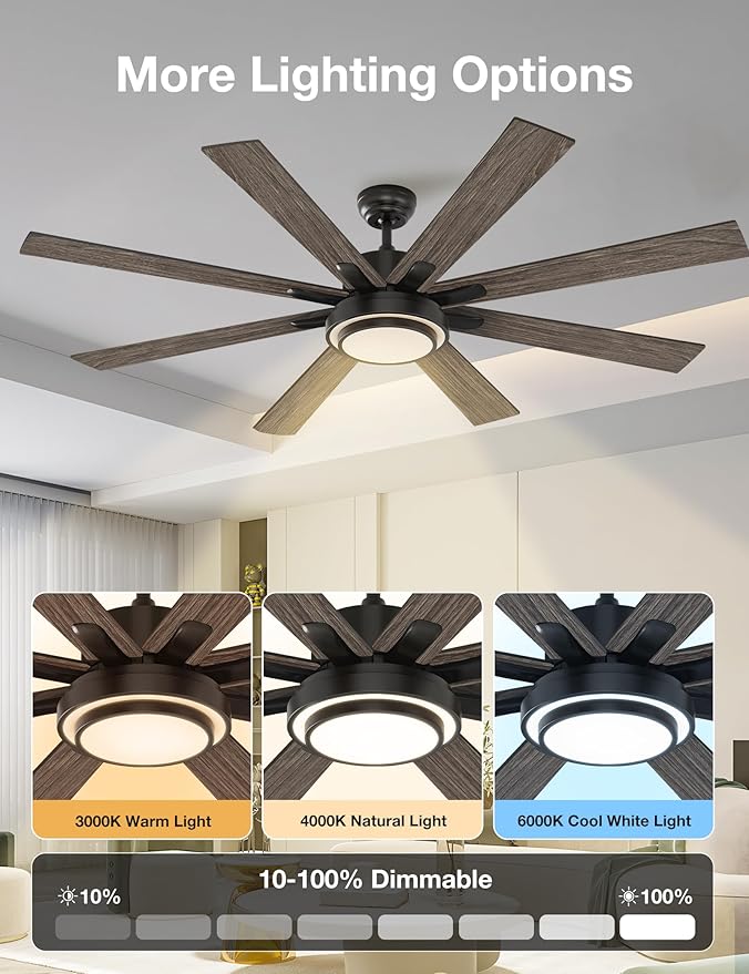 warmiplanet 62 Inch Indoor Ceiling Fans with Lights, 6 Speeds Slient Reversible DC Motor, 3 Color Dimmable LED Light, Timer, Black, 8 Blades