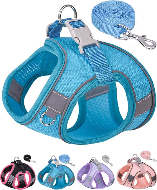 Dog Harness for Small Medium Sized Dog, Step in Puppy Harness and Leash Set Training Walking. (Blue, S)