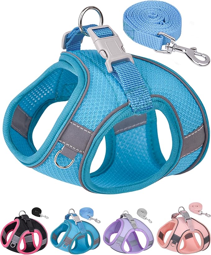 Dog Harness for Small Medium Sized Dog, Step in Puppy Harness and Leash Set Training Walking. (Blue, XXS)