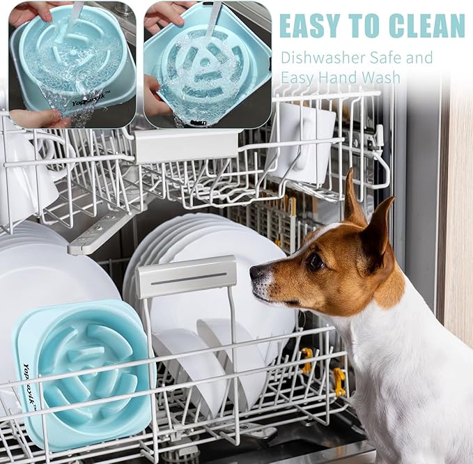 Slow Feeder Dog Bowls for Healthy Eating, Non-Slip and Anti-Choking Design, Reduces Bloating & Overeating for Medium Dogs and Cats, Easy to Clean