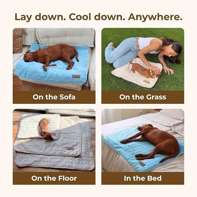 Pelsbarn Dog Cooling Mat- Ice Silk Summer Comfort, Self Cooling, Non-Slip Dog Pad, Durable & Washable, Mat for Large Dogs 25" x 37", Support Shelter Dogs with Every Purchase (Blue)