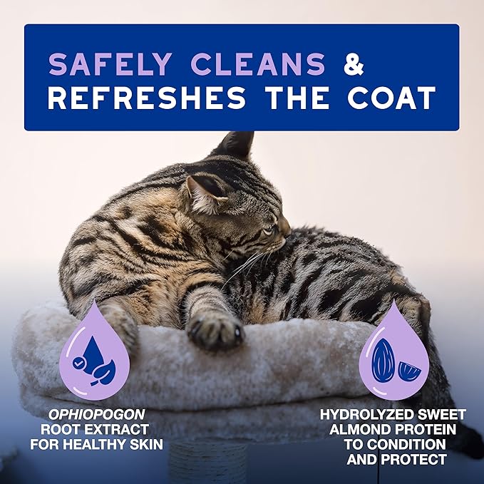 DOUXO® Skin & Coat SPA - Ultra-Safe Low-Stress Refresh Leave-on Mousse for Cats, 10 fl oz, Leaves The Coat Clean, Refreshed, Soft, Radiant and Smelling Great, Skin-Friendly Formula