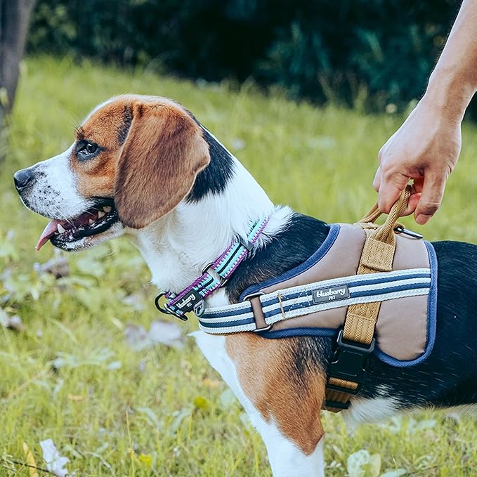 Blueberry Pet Soft 3M Reflective Dog Harness Vest | Mesh Padded No-Pull Harness with Back Clips | Multicolor Stripe in Olive and Blue-Gray| Adjustable for Medium Dogs