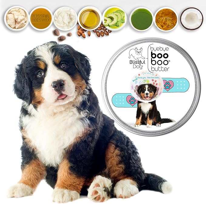 The Blissful Dog 8 oz TIN Bernese Mountain Dog Booboo Butter