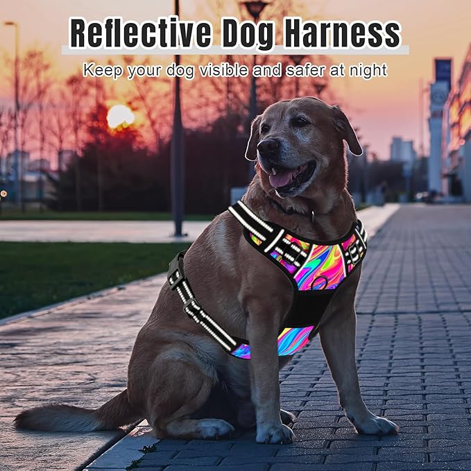 Rnivvi No Pull Dog Harness, Cute Reflective Small Sized Puppy Kitten Harness, Adjustable Soft Padded Vest for Small Dogs, Cats, Heavy Duty Pet Vest with Easy Control Handle for Walking, Rainbow Art