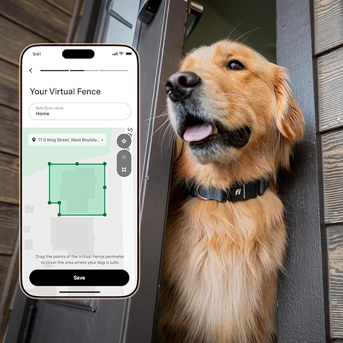 Fi New Series 3+ Smart Dog Tracker Collar [12 Month Membership Included] GPS Tracker for Dogs with Health & Behavior Monitoring, Escape Alerts, Waterproof, LED, Apple Watch Compatible (Yellow, Small)