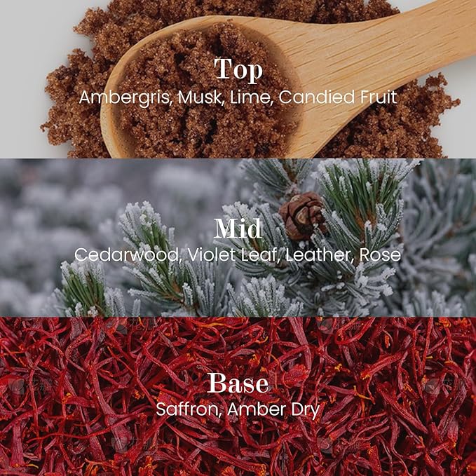 M&SENSE Natural Soy Candle| Leather Night | 5.3 oz | Minimalist Christmas Scented Candle for Relaxation, Gifting, Home Décor | for Bedroom, Office, Party Small