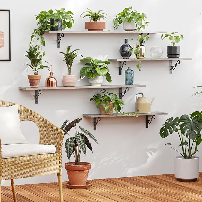 DINZI LVJ Long Wall Shelves, 31.5" Large Floating Shelves Set of 2, Farmhouse Display Shelf Wall Mounted with Heavy Duty Brackets, Easy Assembly for Kitchen, Bathroom, Bedroom, Balcony, Greige