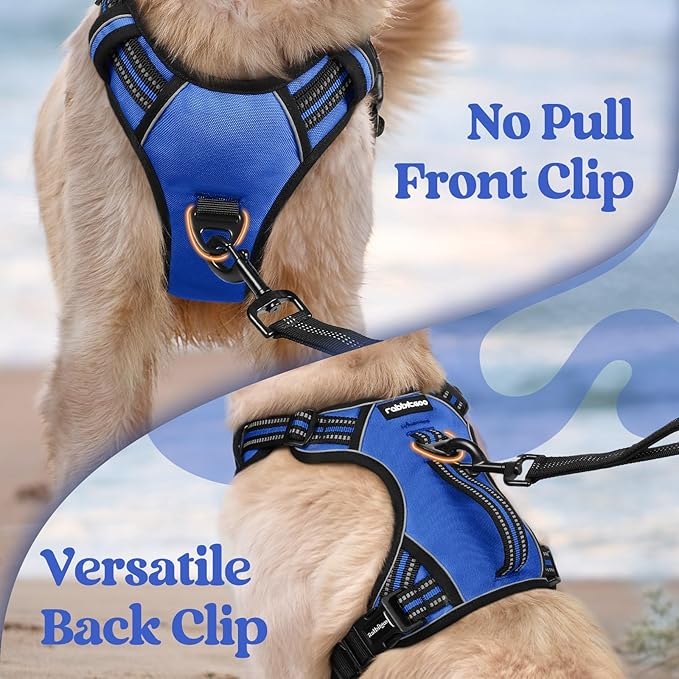 rabbitgoo Dog Harness Small Sized Dog, No Pull Pet Harness with Soft Padded Handle, Adjustable Reflective Vest with 3 Buckles, Easy Walking Harness with 2 Leash Clips, Blue, S