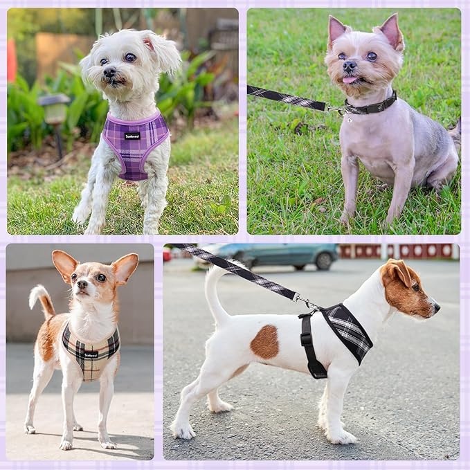 SCENEREAL No Pull Dog Harness Collar and Leash Set Small Medium Sized Dog, Soft Mesh Step in Puppy Harnesses, No Chock Plaid Adjustible Pet Vest for Outdoor Walking Training and Running, Black M