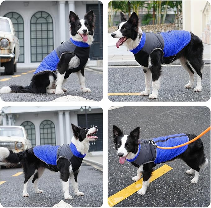 Warm Fleece Dog Coats for Medium Dogs,D-Rings Waterproof Puppy Jacket for Cold Winter,Blue L
