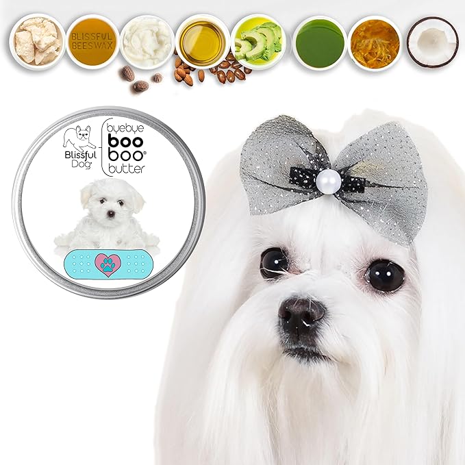 The Blissful Dog 8 oz TIN Maltese Booboo Butter