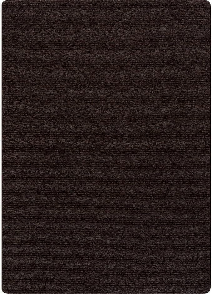 Non Slip Brown Solid Rubber Back Thing Rug for Living Room 3x5 Area Rugs for Kitchen, Rugs for Bedroom, Stain Resistant Easy Cleaning Non Shedding Carpet Brown 3 x 5
