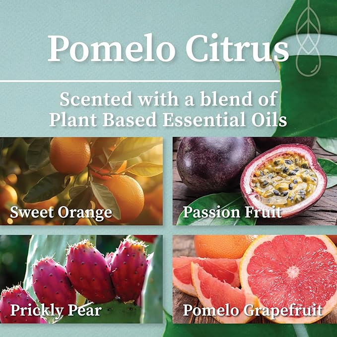 Hemlock Park Crackling Wood Wick Candle Handcrafted with Natural Coconut Wax (Standard 8 oz, Pomelo Citrus)