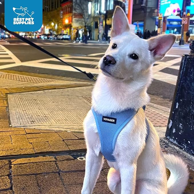 Best Pet Supplies Voyager Step-in Air Harness - All Weather Mesh, Reflective, No Pull Harness for Dogs, Cats - Secure with Hook & Loop Fastener, Buckle, Double D-Rings - Baby Blue, XL
