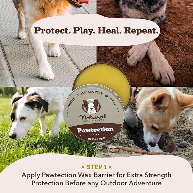 Natural Dog Company PawTection Dog Paw Balm, 4 Pack, Protects Paws from Hot Surfaces, Sand, Salt, & Snow, Organic, All Natural Ingredients (0.15 oz Travel Stick) X 4