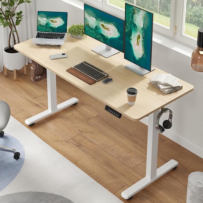 Casaphoria 55 x 24 inches Electric Standing Desk, Sit to Stand Desk with Memory Height Adjustment, Home Office Computer Desk for Writing and Games, Oak