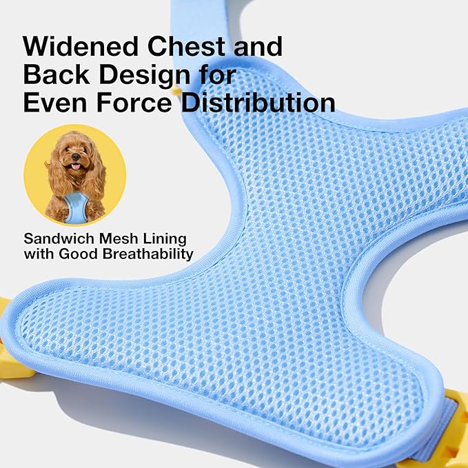 VETRESKA Dog Harness Small Sized Dog, Adjustable Reflective No Choke Puppy Harness No Pull, Easy Control Pet Harness Vest for Dogs, Cat, Kitten, Dog Harness with Anti-Tangle Dog Leash Set, Daisy XXS