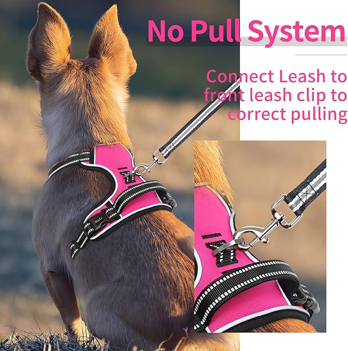 HEELE Dog Harness, No Pull Adjustable Padded Reflective Harness for Small Medium Large Dogs with Handle for Walking Training,Rose, L