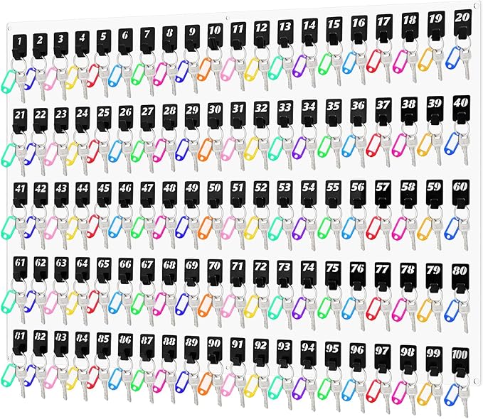 Acrylic Key Board with 100 No. Hooks Wall Mount Key Rack Holder Hanger Storage Collection for School, Garage, Car Dealer, Office, Hotel, Real Estate(Transparent)